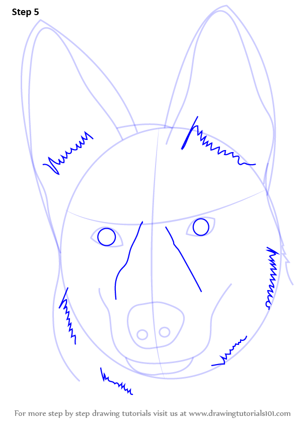 598x844 Learn How To Draw German Shepherd Dog Face - German Shepherd Face Drawing