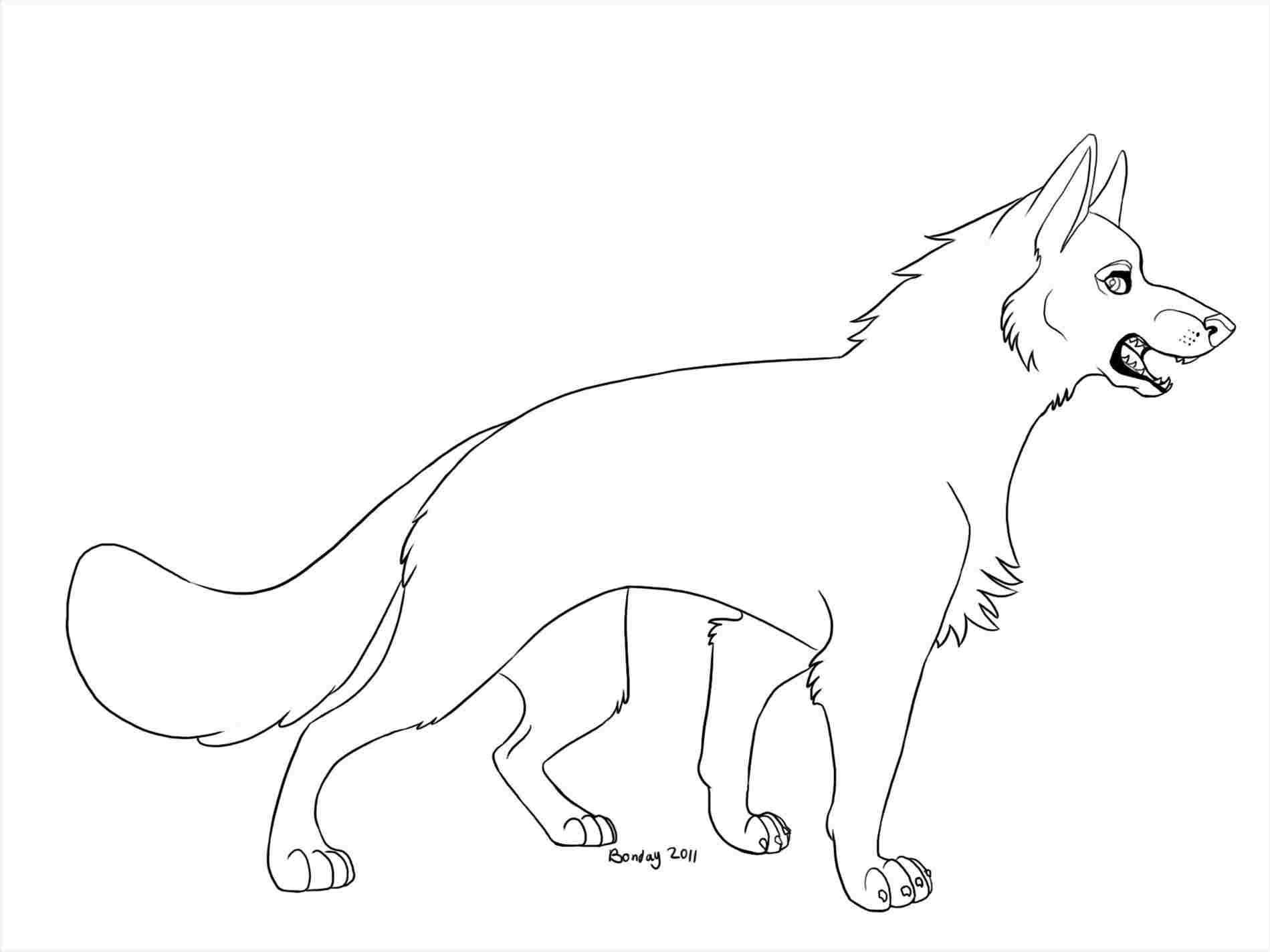 1899x1424 White Background Ez Canvasrhezcanvascom A Astonishing Beautiful - German Shepherd Face Drawing