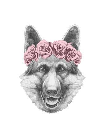 338x450 Portrait Of German Shepherd With Floral Head Wreath Hand Drawn - German Shepherd Head Drawing