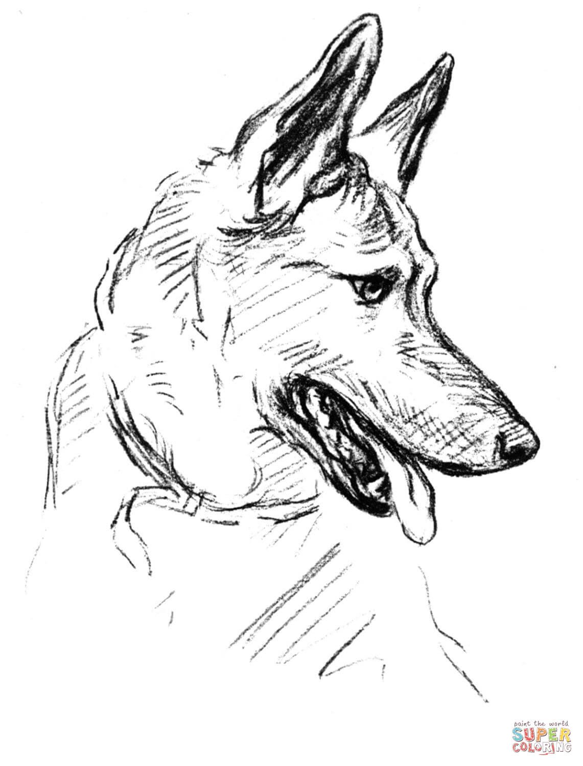 1141x1500 German Shepherd Dog Portrait Coloring - German Shepherd Head Drawing