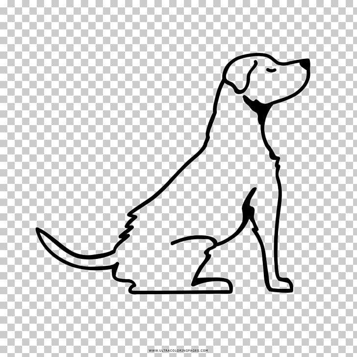 728x728 Cat Drawing Labrador Retriever German Shepherd Line Art, Cat Png - German Shepherd Line Drawing