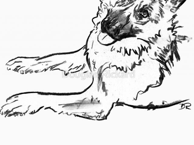 640x480 Drawn German Shepherd Line - German Shepherd Line Drawing