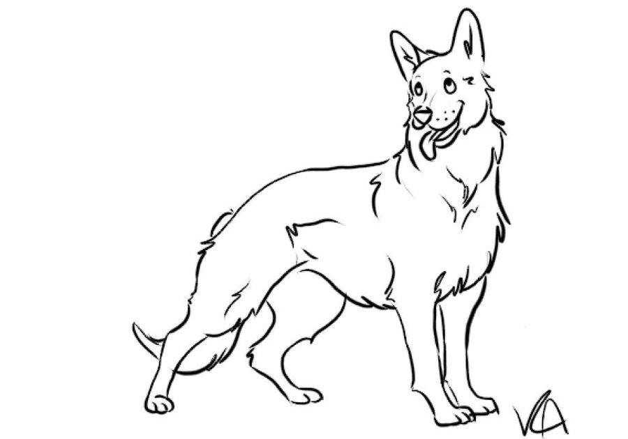German Shepherd Line Drawing at Explore collection