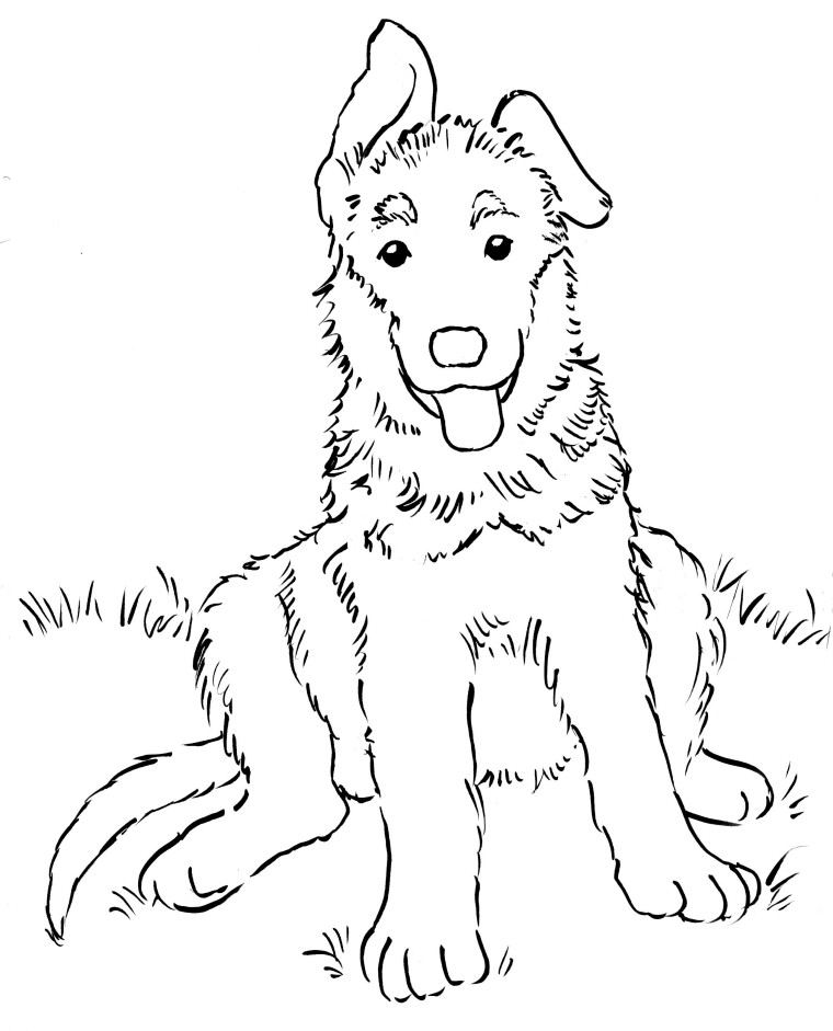 760x941 German Shepherd Puppy Coloring Page - German Shepherd Line Drawing