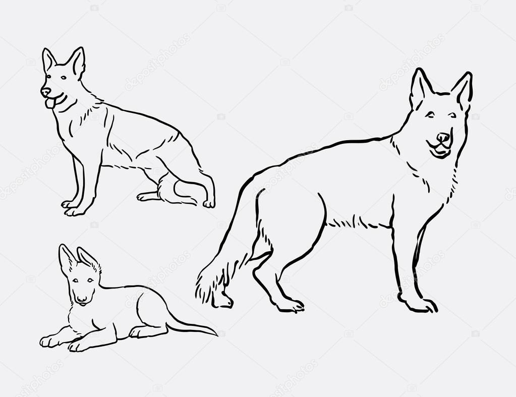 1023x787 how to draw a shepherd dog with german shepherd sitting pet dog - German Shepherd Line Drawing