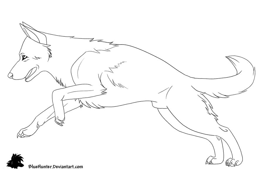 896x600 Critters In Drawings, Dogs - German Shepherd Line Drawing
