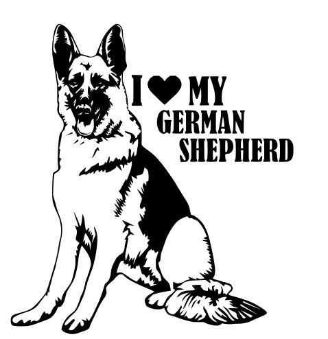 German Shepherd Line Drawing at PaintingValley.com | Explore collection