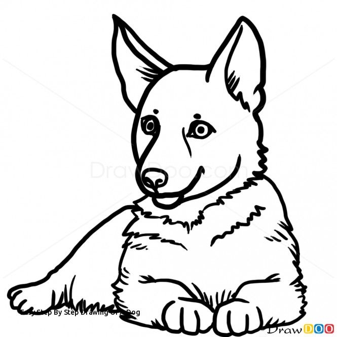 665x665 Easy Drawing Videos Or Easy Step - German Shepherd Line Drawing