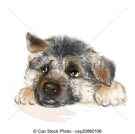 450x447 Huge Collection Of 'german Shepherd Puppy Drawing' Download More - German Shepherd Puppy Drawing