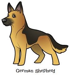 226x247 funny german shepherd cartoon picture german shepherd cartoon - German Shepherd Puppy Drawing