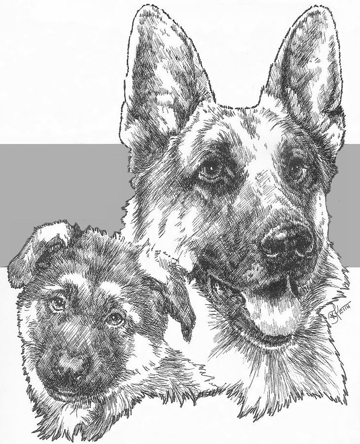 German Shepherd Puppy Drawing At Paintingvalley Com Explore