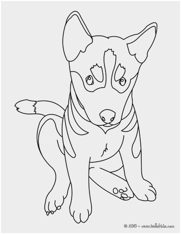 364x470 German Shepherd Coloring Pages Marvelous Puppy Drawings Easy Cute - German Shepherd Puppy Drawing