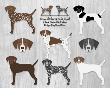 350x283 german shorthaired pointer clipart - German Shorthaired Pointer Drawing