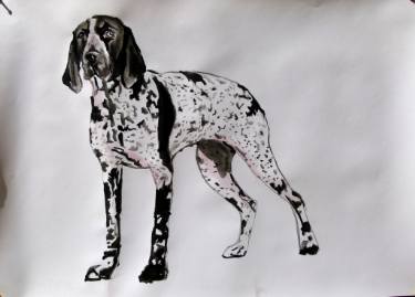 375x269 german shorthaired pointer painting - German Shorthaired Pointer Drawing