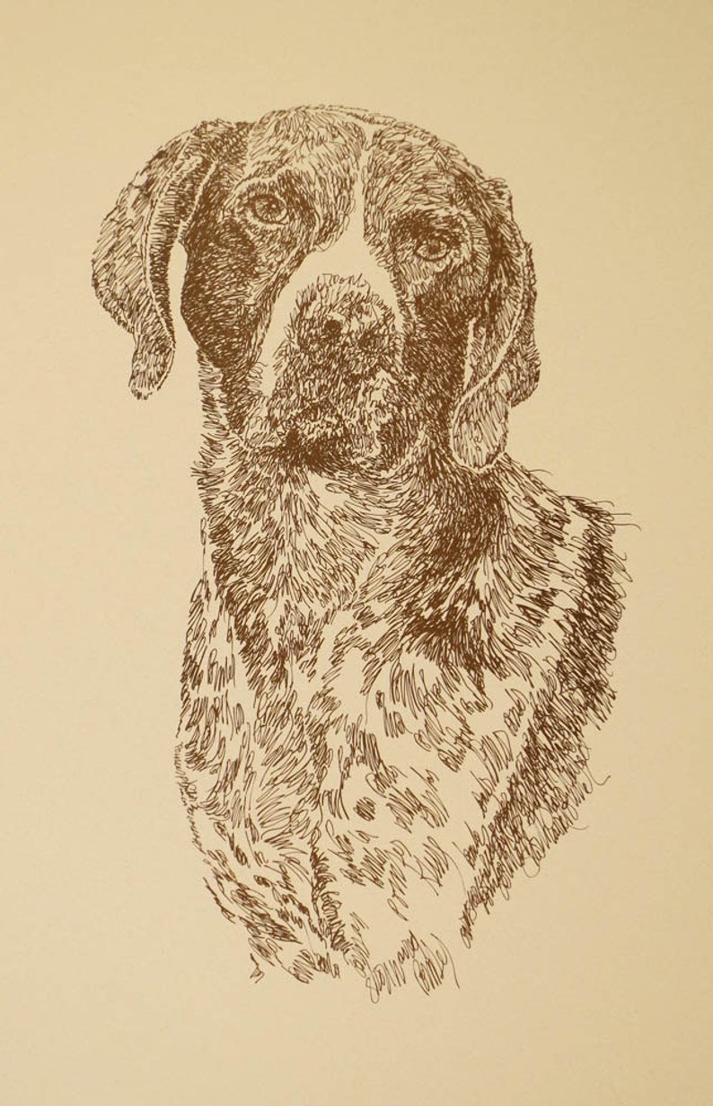 794x1231 german shorthaired pointer dog art portrait drawing from etsy - German Shorthaired Pointer Drawing