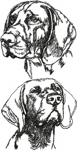 300x589 advanced embroidery designs - German Shorthaired Pointer Drawing