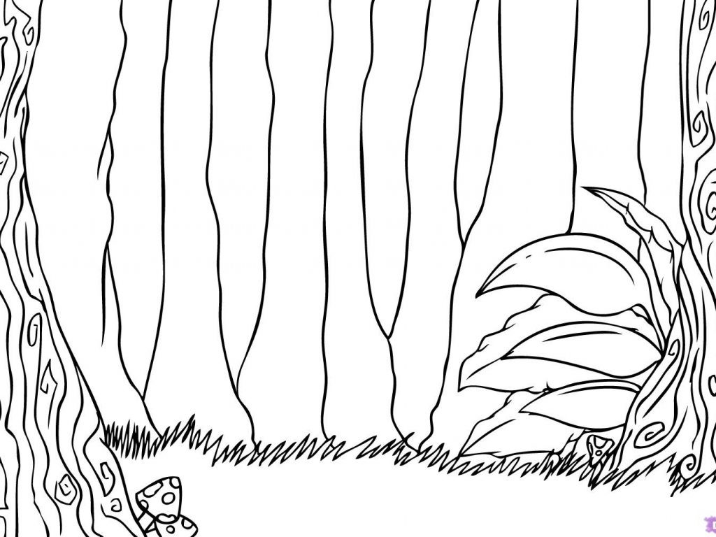 1024x768 Forest Tree Drawing - Get Drawings