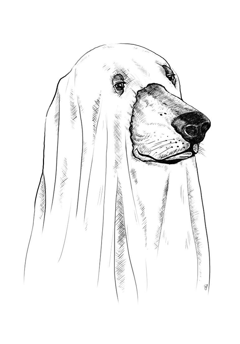 770x1100 Ghost Dog Drawing - Ghost Drawing