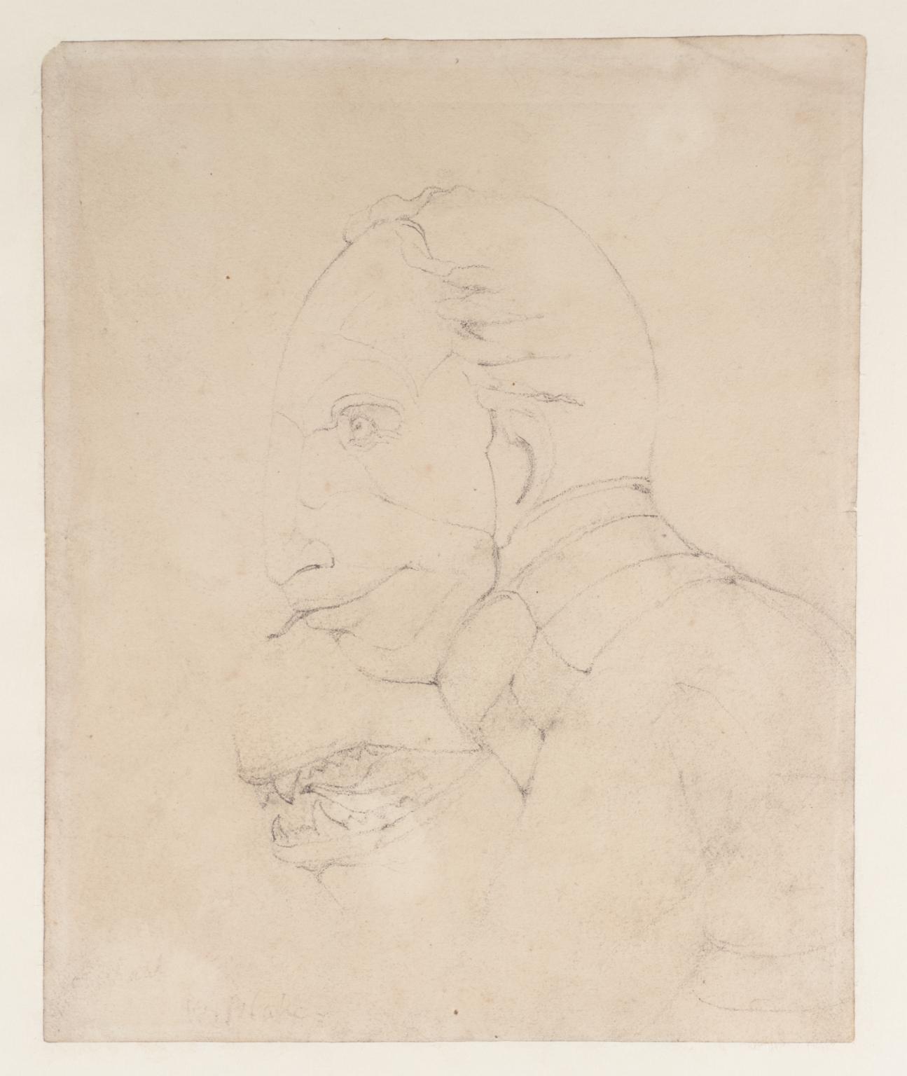 1295x1536 The Head Of The Ghost Of A Flea Verso A Profile And A Reduced - Ghost Drawing Images