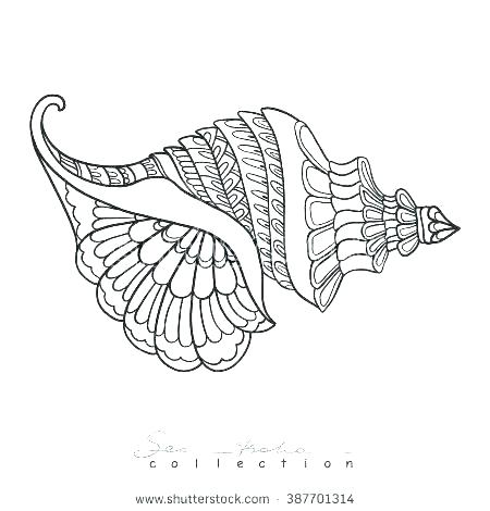 450x470 clam coloring - Giant Clam Drawing