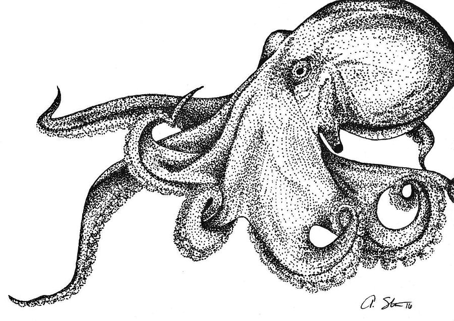 Giant Octopus Drawing at Explore collection of