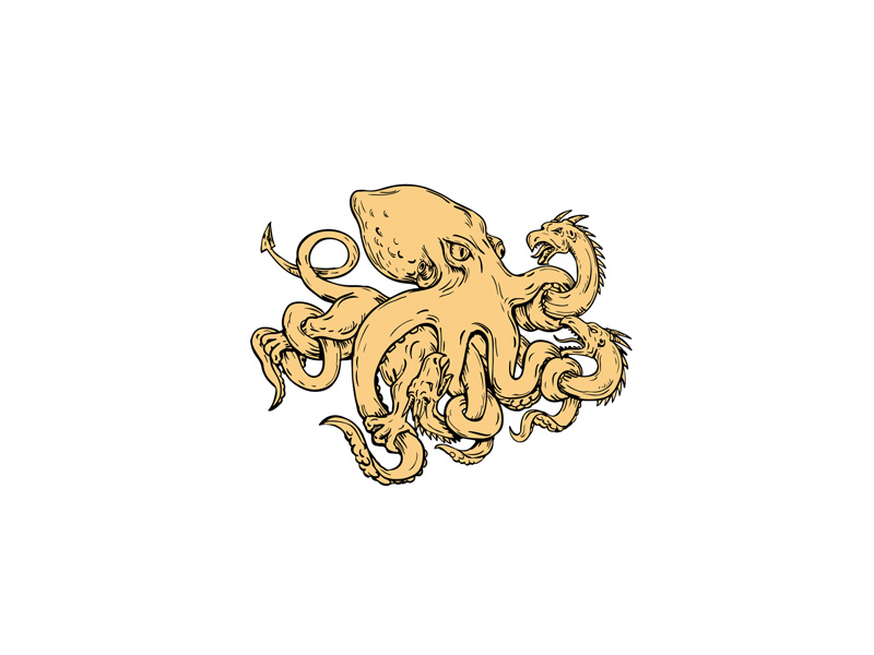 800x600 giant octopus fighting hydra drawing - Giant Octopus Drawing
