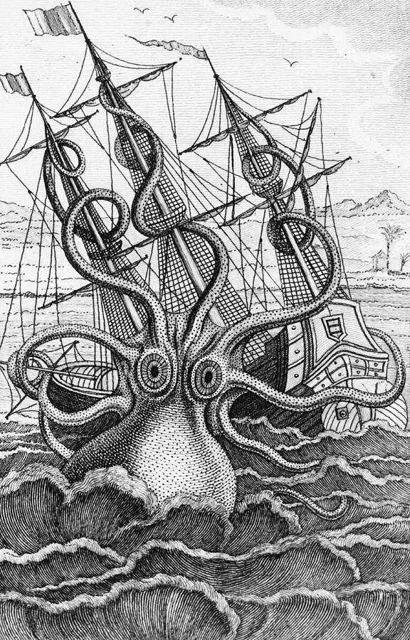 576x900 giant octopus illustration from l histoire naturelle generale et - Giant Octopus Drawing