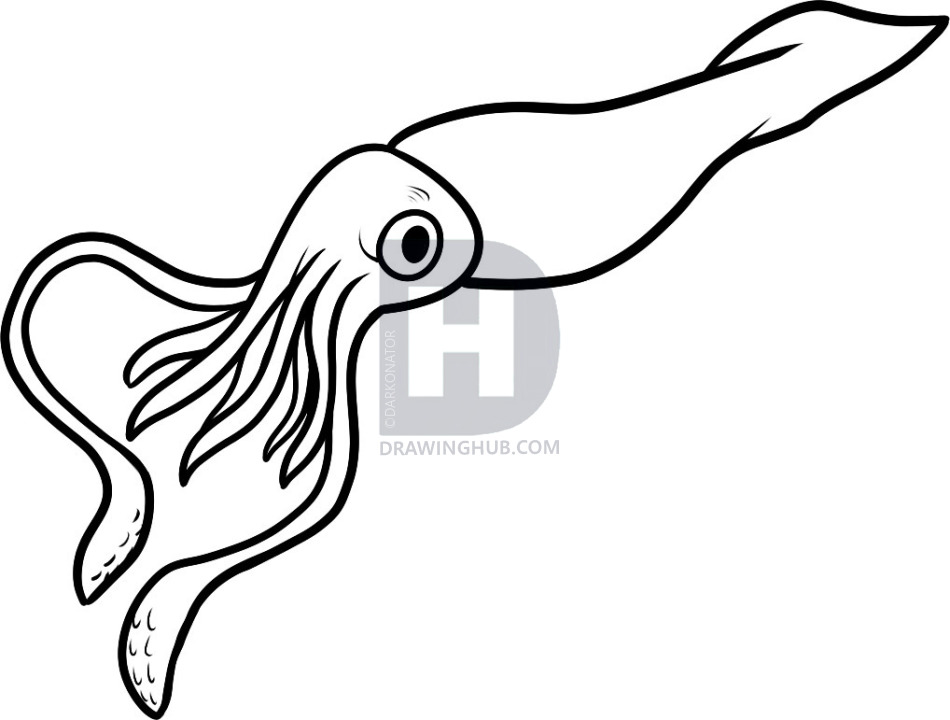 950x720 how to draw a giant squid, giant squid, step - Giant Octopus Drawing