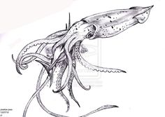 236x167 how to draw a giant squid, giant squid, step - Giant Squid Drawing