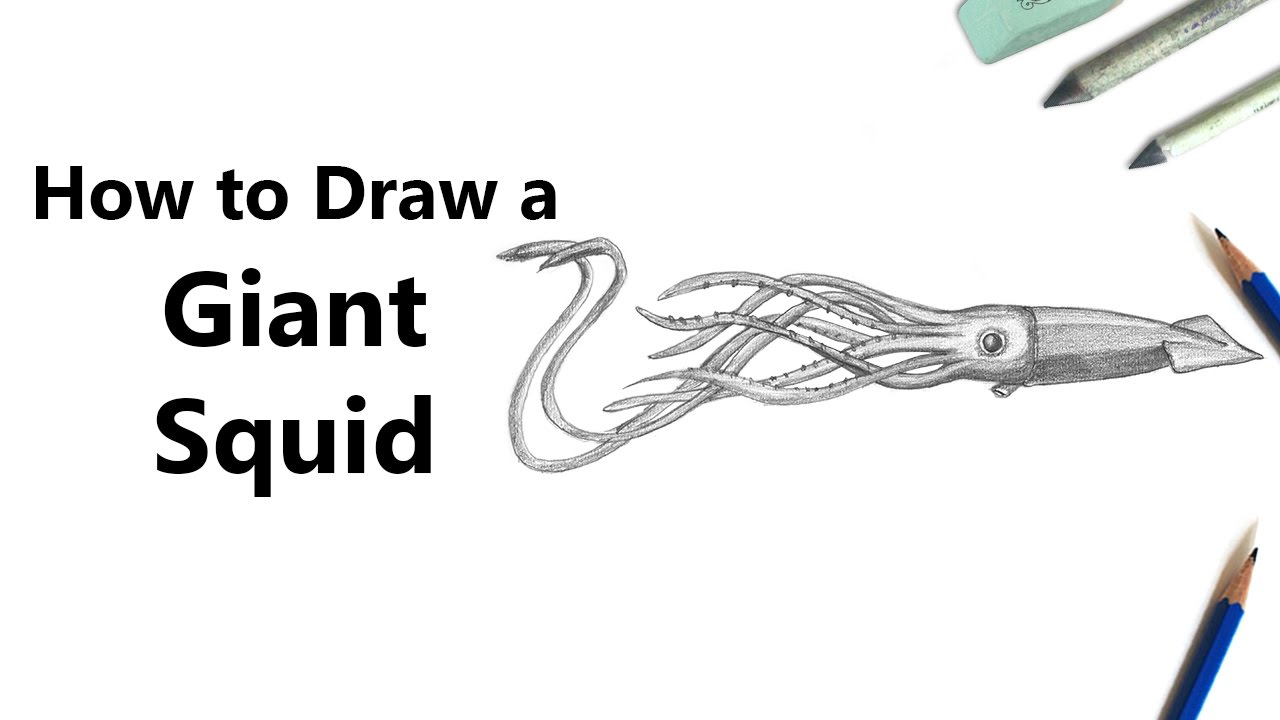 1280x720 How To Draw A Giant Squid With Pencils - Giant Squid Drawing