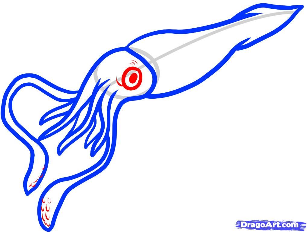 1018x771 how to draw a giant squid, giant squid step things to draw - Giant Squid Drawing