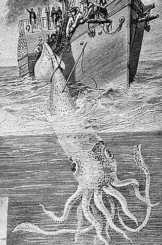 328x497 Giant Squid - Giant Squid Drawing