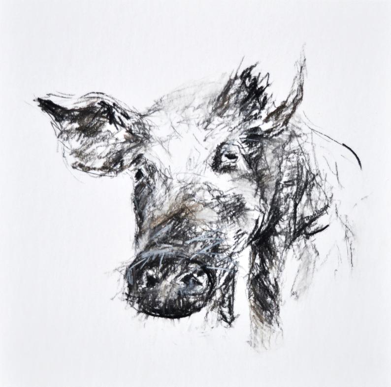 794x786 Pig Drawing Original Drawing Charcoal Drawing Pig Sketch Etsy - Gift Drawing