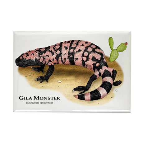 460x460 gila monster lizard drawing magnets - Gila Monster Drawing