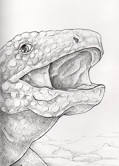 396x552 Gila Monster Weasyl - Gila Monster Drawing