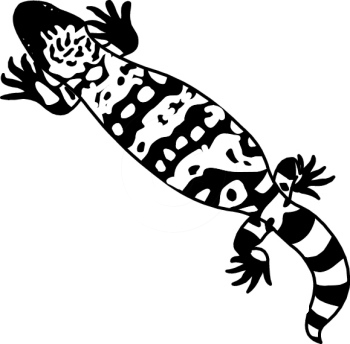350x344 Gila Monster - Gila Monster Drawing