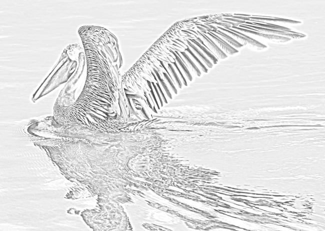 650x461 how to create a pencil drawing effect with a photo in gimp - Gimp Drawing Effect