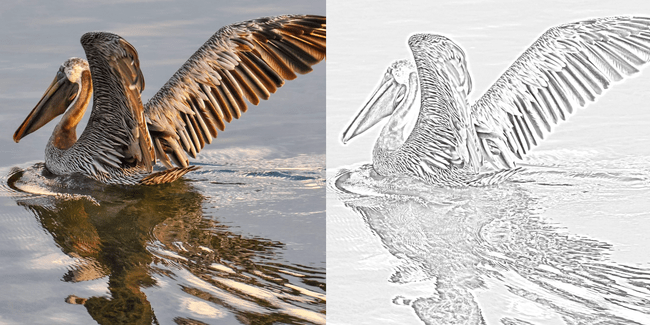 650x325 How To Create A Pencil Drawing Effect With A Photo In Gimp - Gimp Pencil Drawing