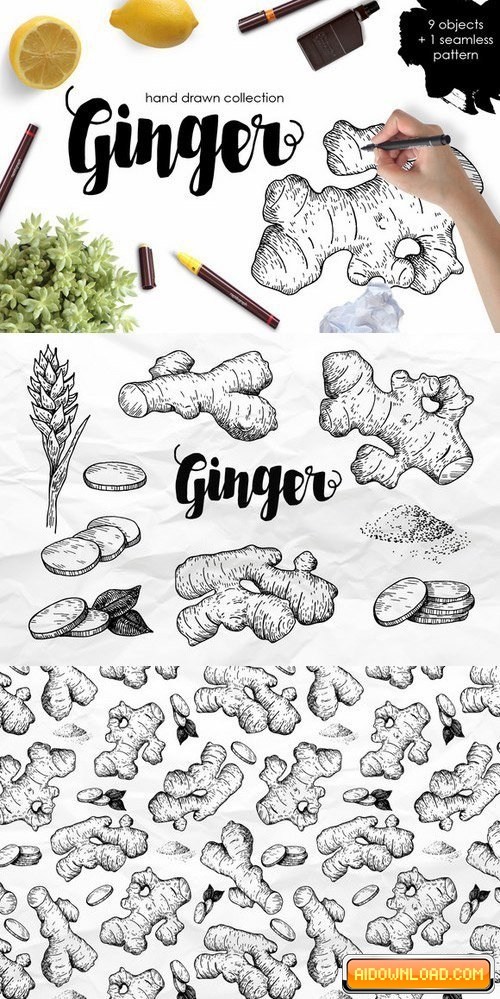 500x999 ginger drawing set free download free graphic templates, fonts - Ginger Drawing