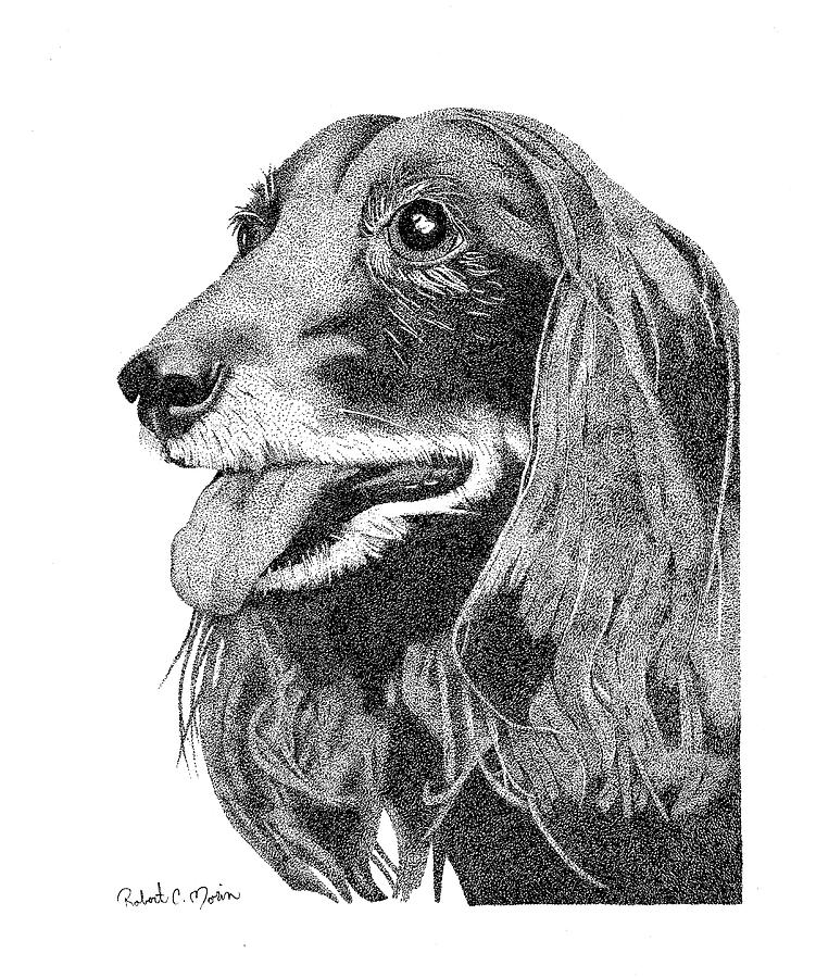 751x900 ginger drawing - Ginger Drawing