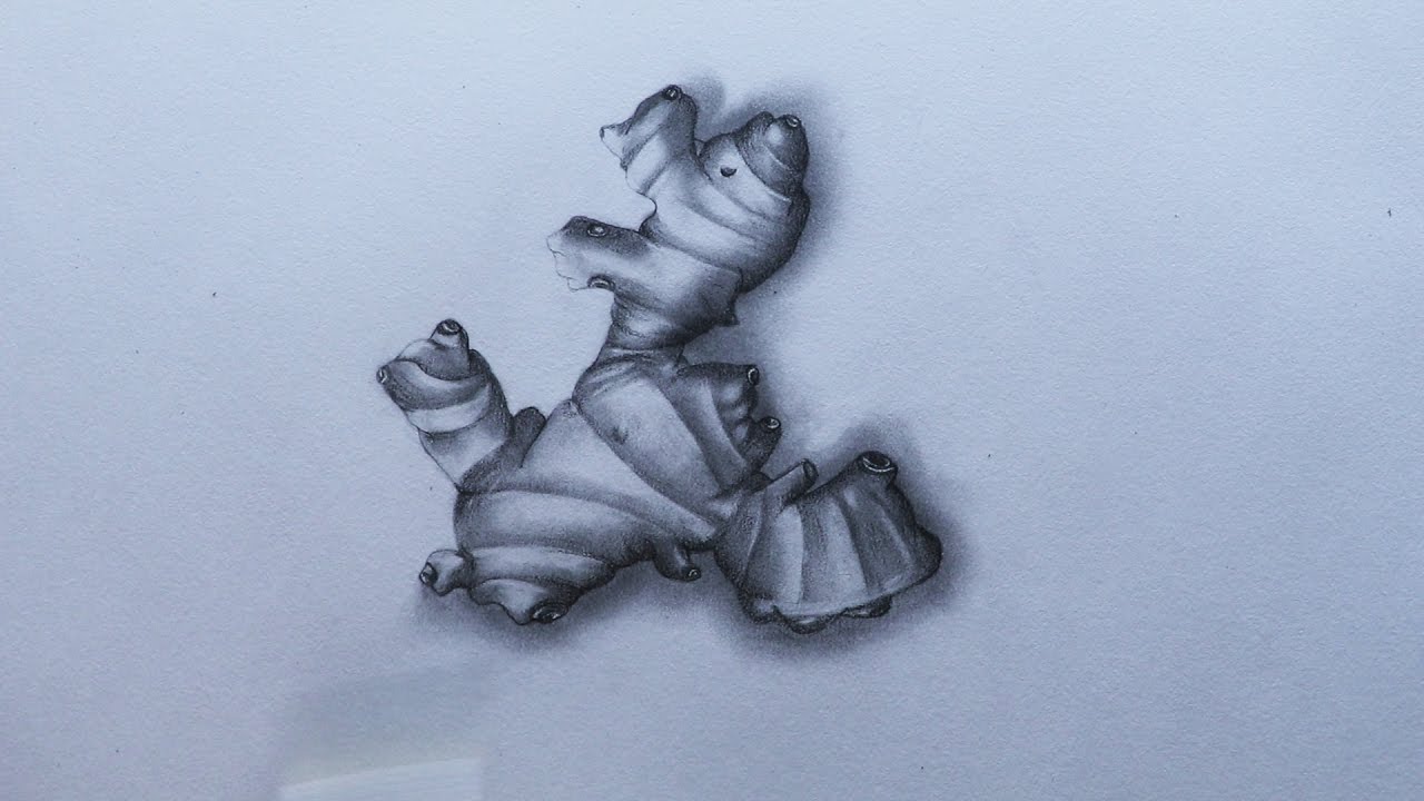 1280x720 how to sketch a ginger - Ginger Drawing