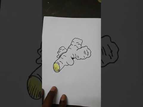 480x360 how to draw ginger - Ginger Drawing