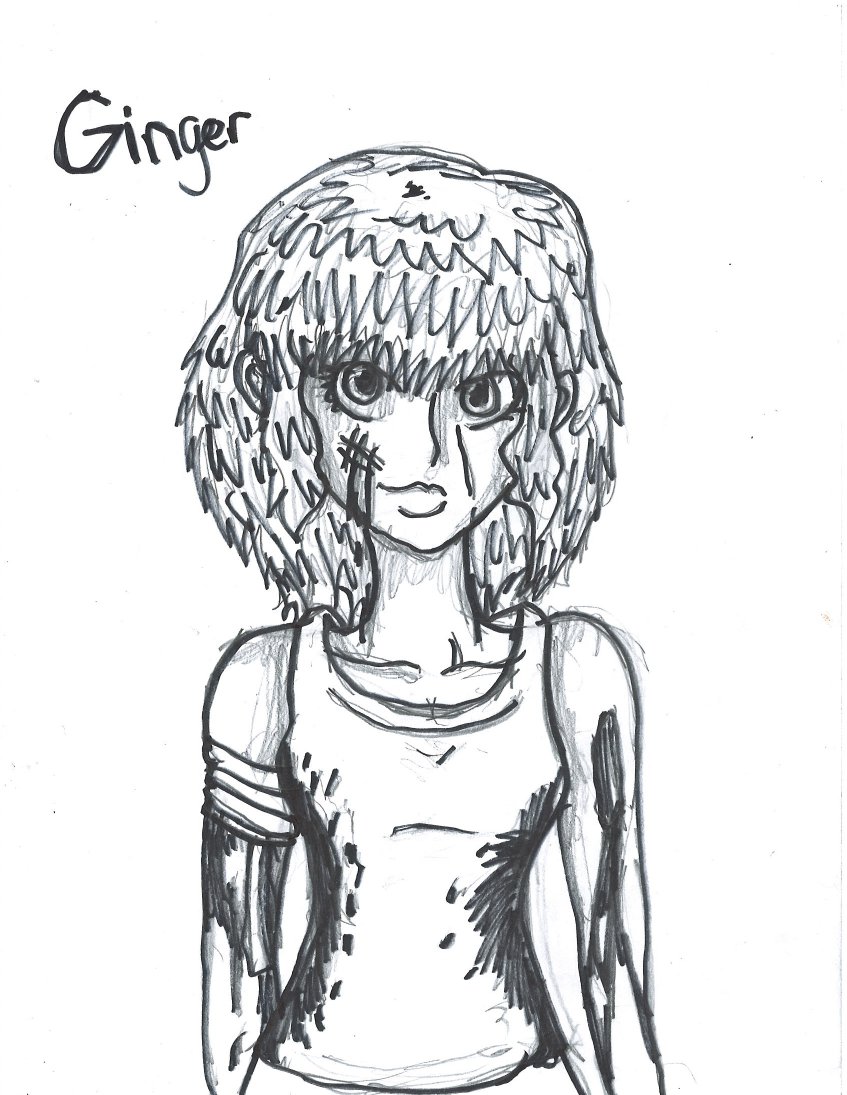 847x1095 roleplay hungergames! images ginger drawing hd wallpaper - Ginger Drawing