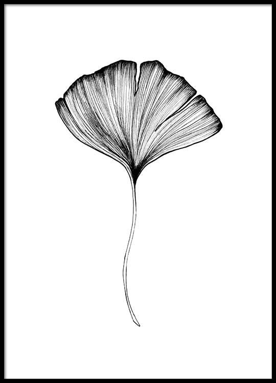 540x750 Ginkgo Leaf Poster - Ginkgo Leaf Drawing