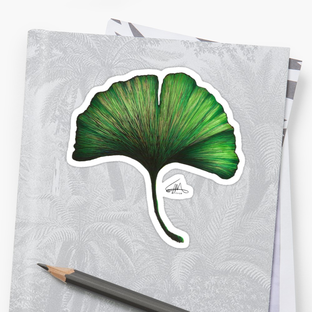 1000x1000 Ginkgo Leaf Stickers - Ginkgo Leaf Drawing