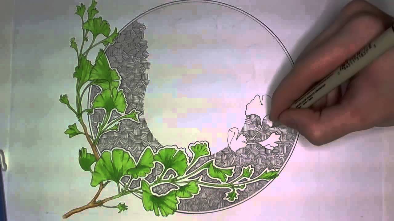 1280x720 Ginkgo Leaves Drawing - Ginkgo Leaf Drawing