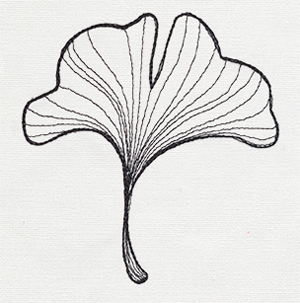 300x303 Engraved Ginkgo - Ginkgo Leaf Drawing