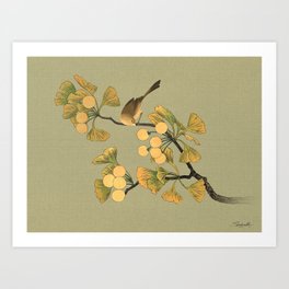 264x264 Ginkgo Biloba Art Prints - Ginkgo Tree Drawing