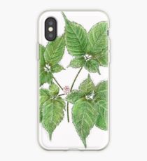 210x230 Ginseng Drawing Iphone Cases Covers For Xsxs Max, Xr, X - Ginseng Drawing