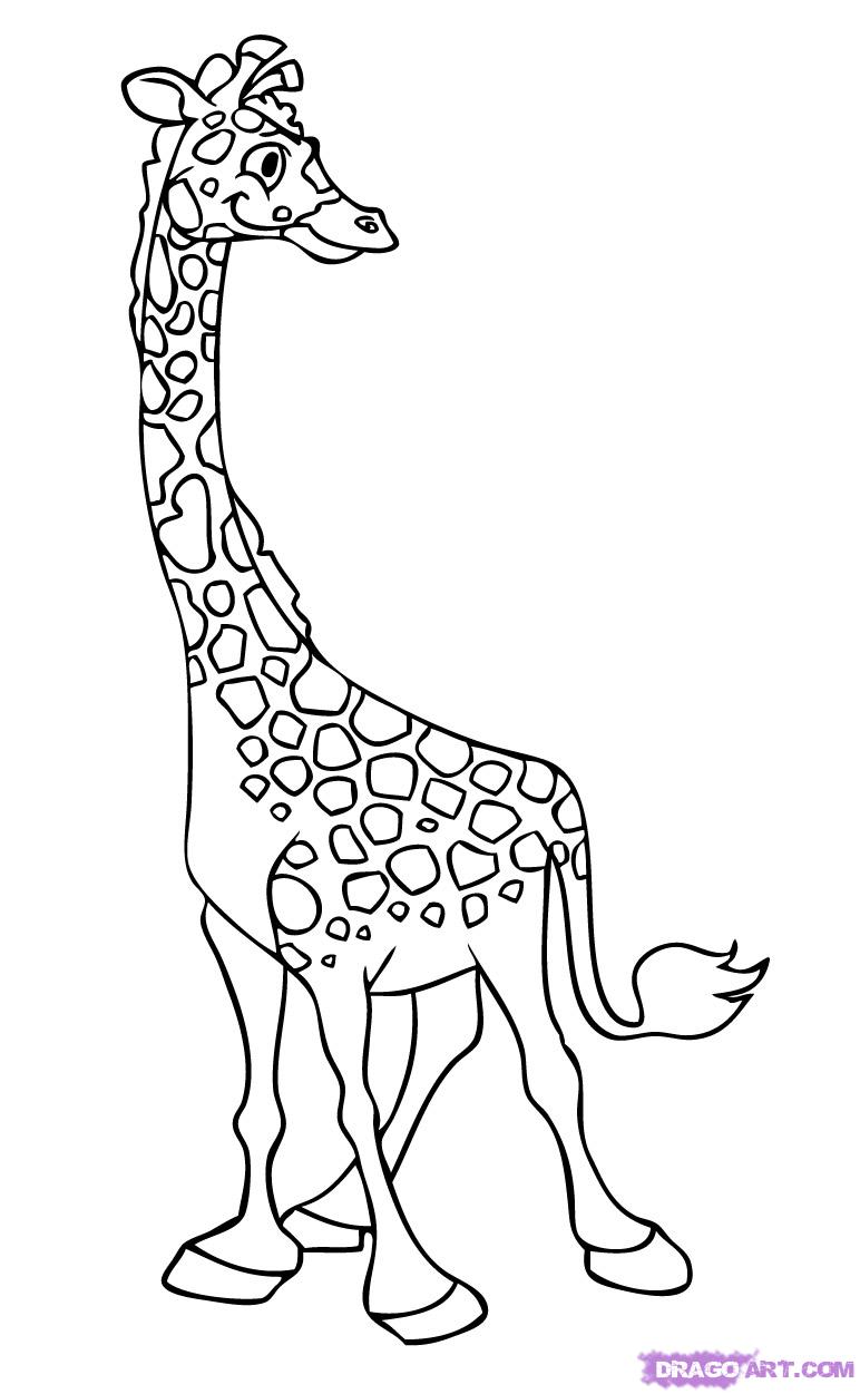 772x1251 Learn How To Draw A Cartoon Giraffe, Cartoon Animals, Animals - Giraffe Cartoon Drawing